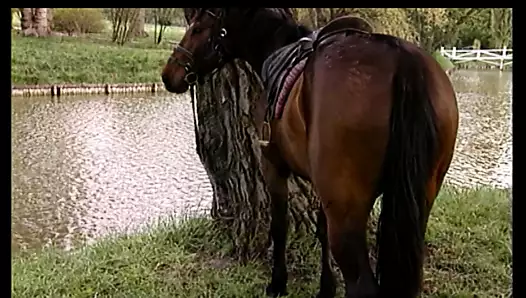 backey jakic (full film hd)