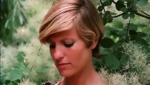 parti baskınları (1976)