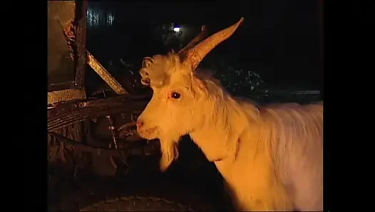 Çıplak Kadınlar götten sikişmek için tutuşuyor - Full Vintage Porno 