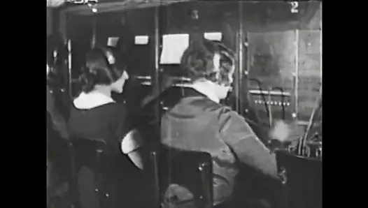 Gozona Domuzu Süt Alıyor