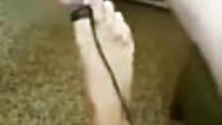 bundan da zevk alan var demekki