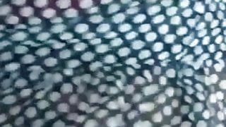 dehin zebo bl creme o aayez yefchakha f tiizha