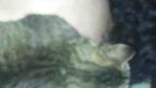 Çiğdem içeri attırma 