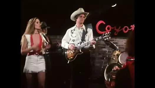 wild dallas honey (1982, ABD, honey wilder, uzun metrajlı film, dvd)