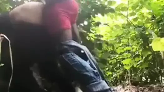 jungal mayıs manjal